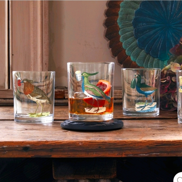 John Derian Bird Cocktail Highball Bar Drinking Glasses set of 4 - Picture 3 of 8